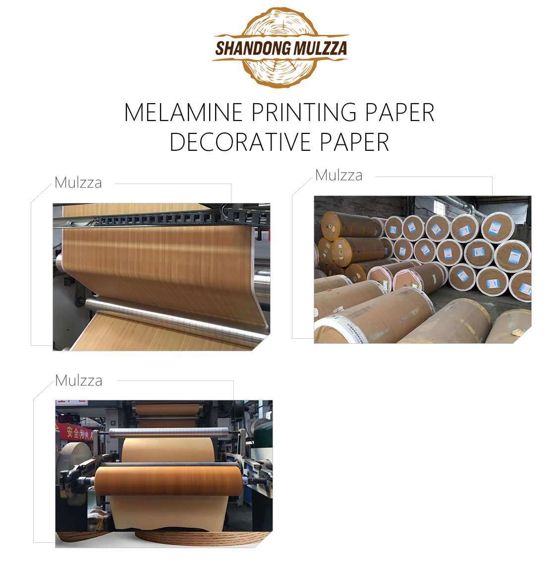 Melamine Printing Paper/Decorative Paper
